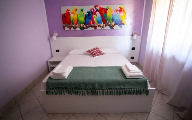 B&B Trepo
