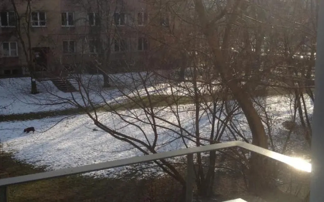 Mokotów Lux Lionsapartments