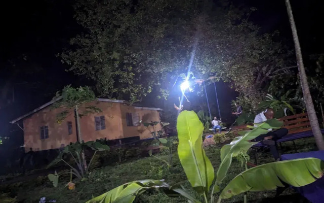 jacaranda homestay
