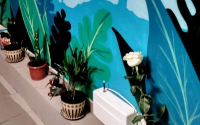 JUNGLE Lodging Houses