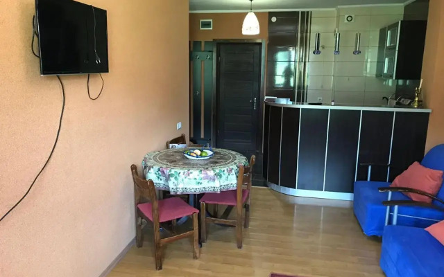 Bakuriani Hills Apartment