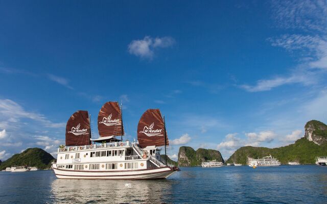 Lavender Elegance Cruise