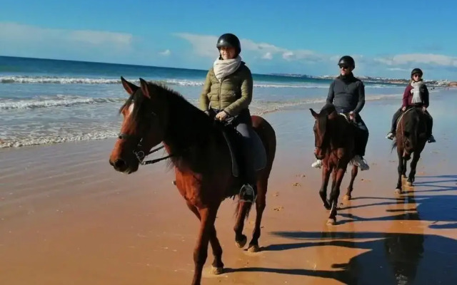 La Villa Paradis Pera