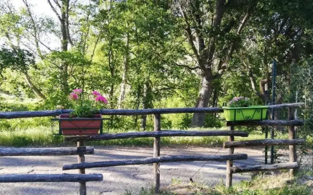 Il Gelso