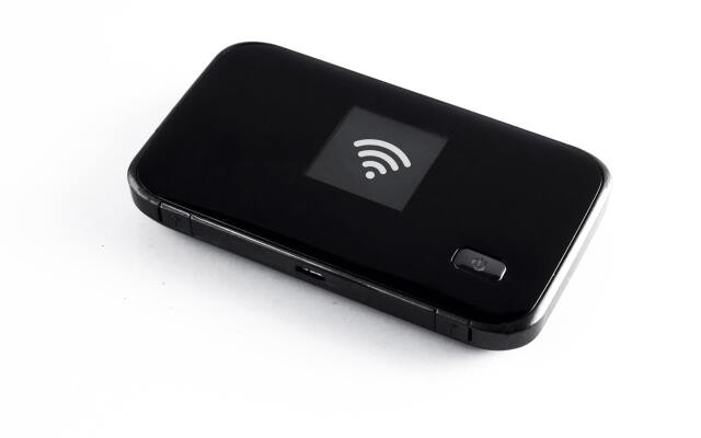 Residence de Lognan- Les Drus 12