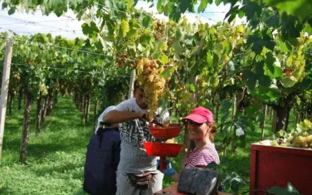 Agriturismo Torre Cristina