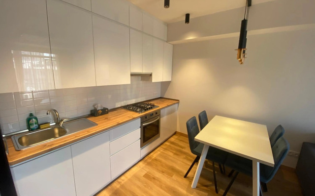 Luxury flat in 100 meters from republic square.