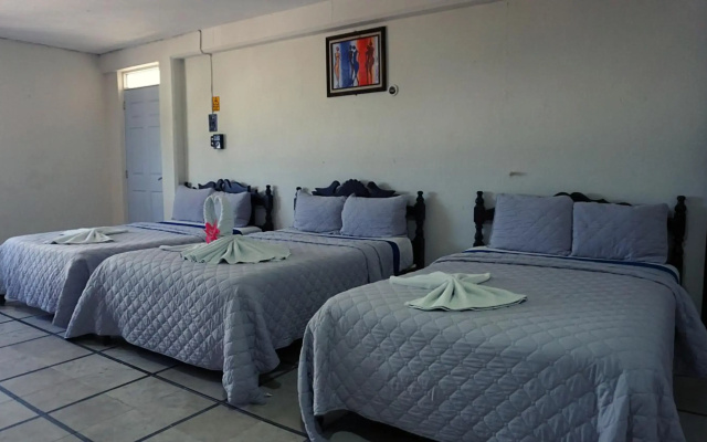 Hotel Murallas 231