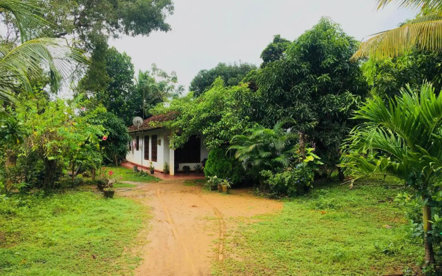 Mama Daisy's Homestay Rekawa.