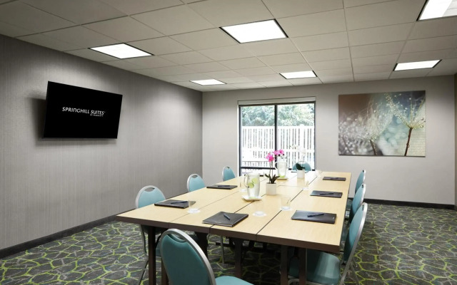 SpringHill Suites by Marriott St. Louis Airport/Earth City