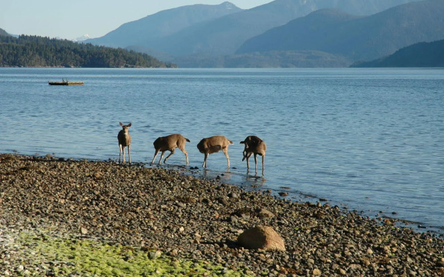 At The Shore Bed and Breakfast