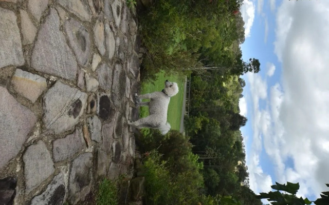 Coverdales B&B at Eumundi