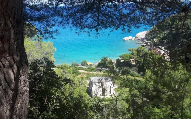 Le 3B - Finalmarina