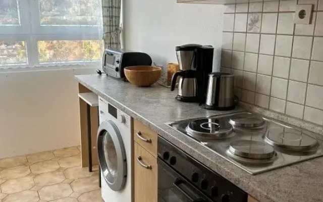 Reichenbach Apartment