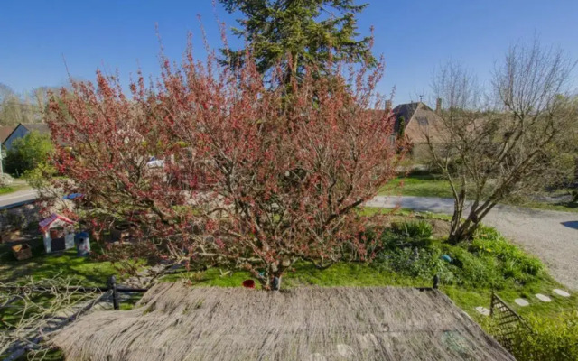 Gîte Dosches, 4 pièces, 7 personnes - FR-1-543-212