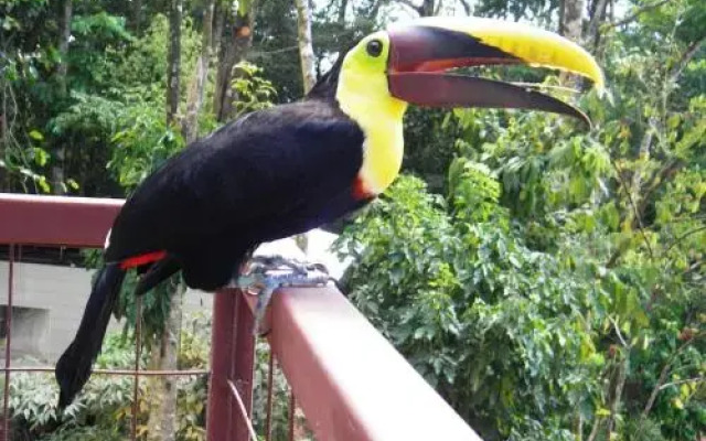 Mar y Selva Ecolodge