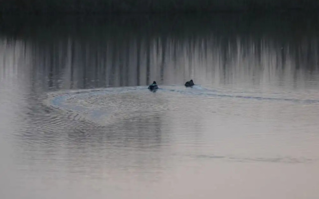 Starfish Modern Retreat