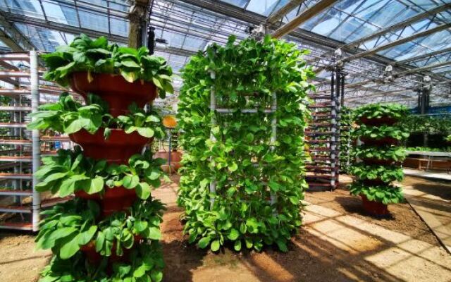 Shungeng Manor Ecological Park