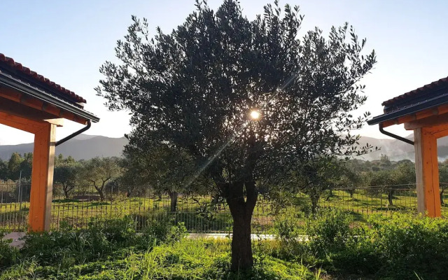 Agriturismo Corte Degli Ulivi