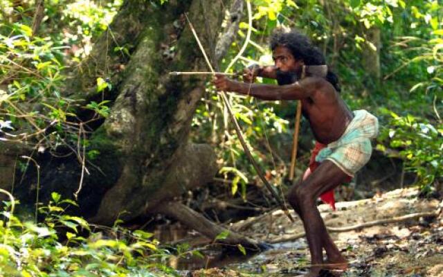 Mahoora Explorer - Dambana by Eco Team