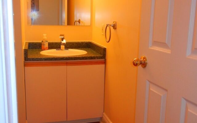 The Shores of Deer Lake