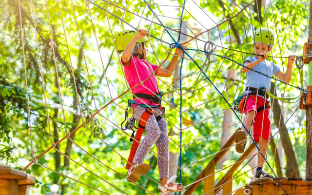 Golte SkiCenter Apartment