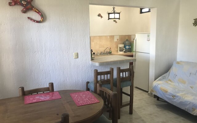 Furnished Apartments in Cozumel