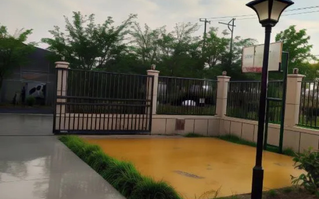 Shanghai Lingang Pengyuanju Maomao Homestay