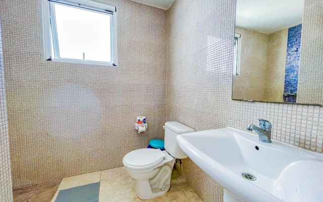 Palmera Penthouse - Scv 103881