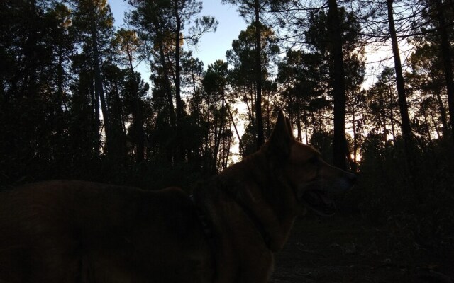 Complejo Rural Arco Iris