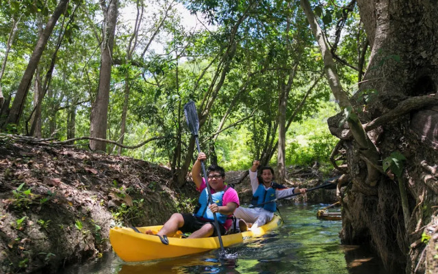 Mayan World Adventures