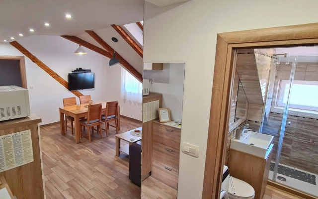 Attic Split apartment near city centre