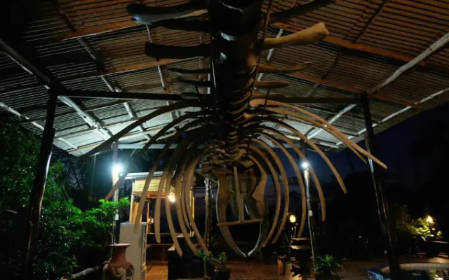 Little Hotel Koh Tao