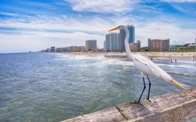 15th Floor Ocean Front