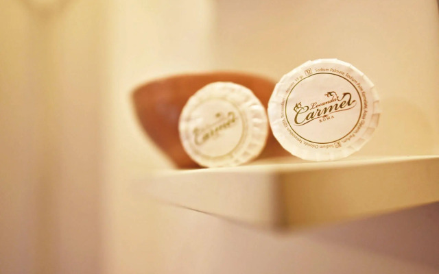 Hotel Carmel Roma