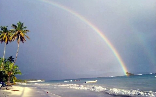 Hostel La Ballena Backpacker