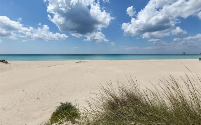 981 Villa Delle Rose - Appartamento A