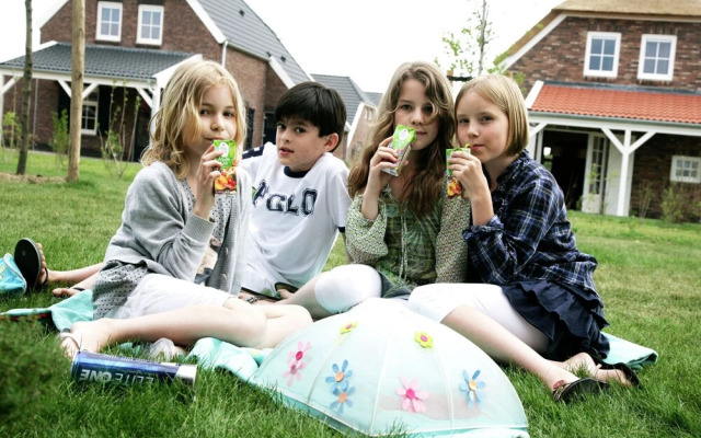 Child-friendly farmhouse villa with PlayStation in Limburg