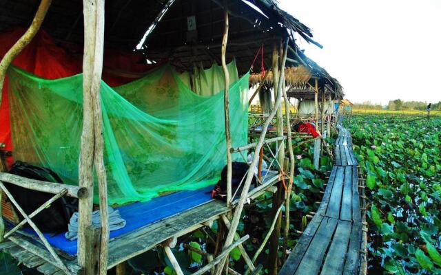 Hai Lua Homestay (Lotus Lake Homestay)