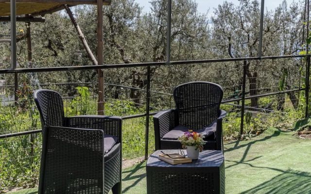 Sky Blue Guesthouse