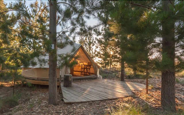 Cherry Glamping