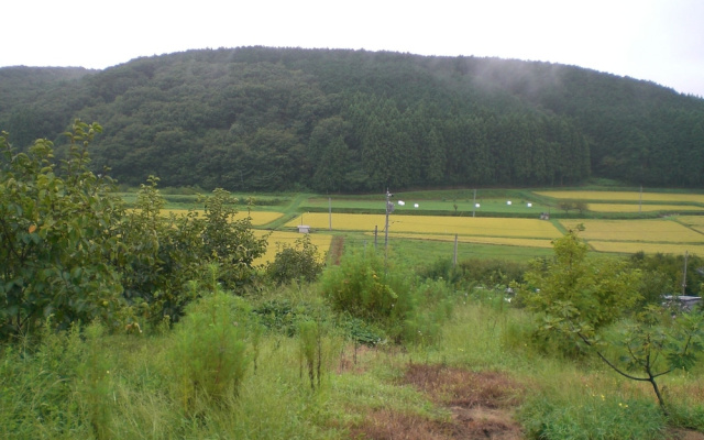 Kakinouen – Outside – Nakagawa