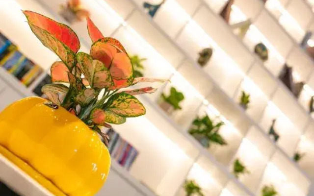 Xana Hotelle Hotel (Foshan Nanhai Wanda)