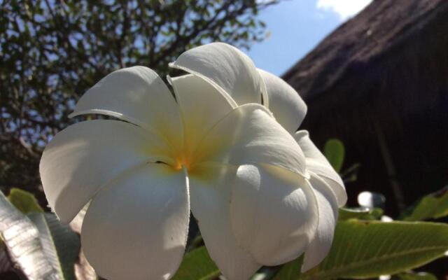 Bow Thong Beach Resort