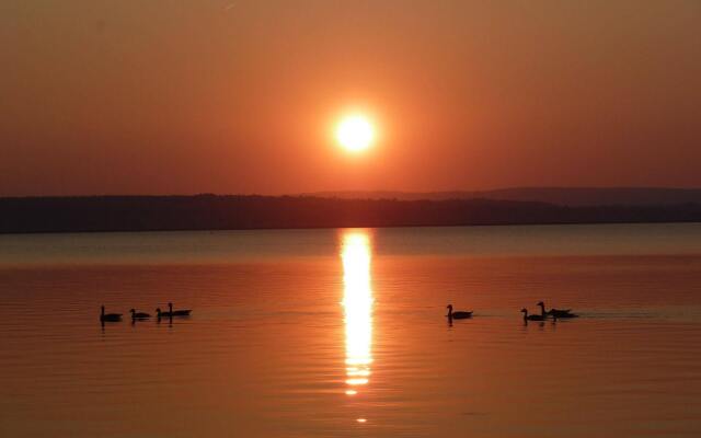 WohlfühlPension IllmitzerHof
