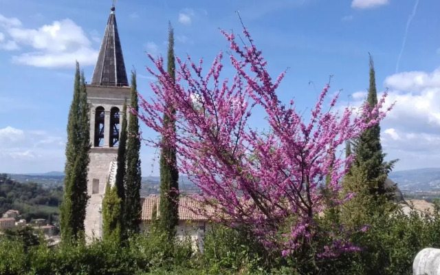 La Terrazza di Campo de' Fiori - Spoleto