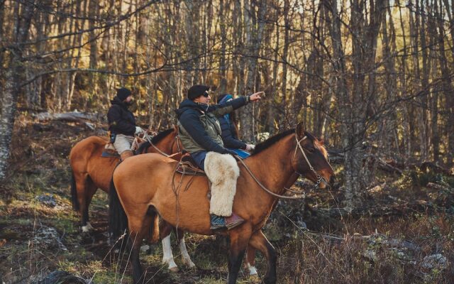 Parador Austral Lodge