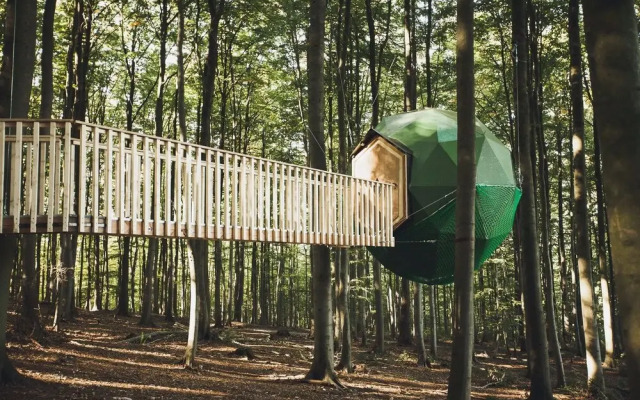 Robins Nest Baumhaushotel