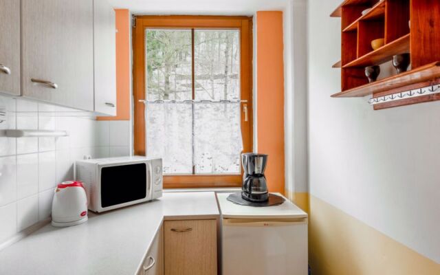Apartment Lanovka Jachymov 36318