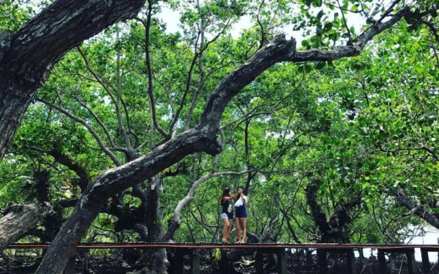 Talikud Island Mangrove Beach Resort